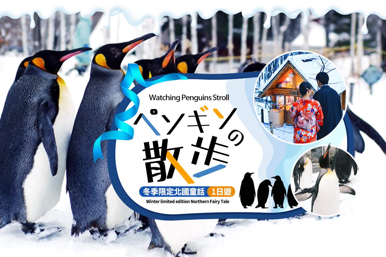 Winter Hokkaido | Asahiyama Zoo & Shikisai-no-oka & Blue Pond